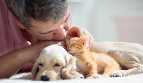 men-kissing-his-cat-and-dog